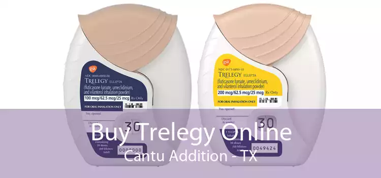 Buy Trelegy Online Cantu Addition - TX